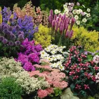 Многолетние растения