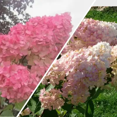 Комплект МНОГОГРАННОСТЬ в Лиде