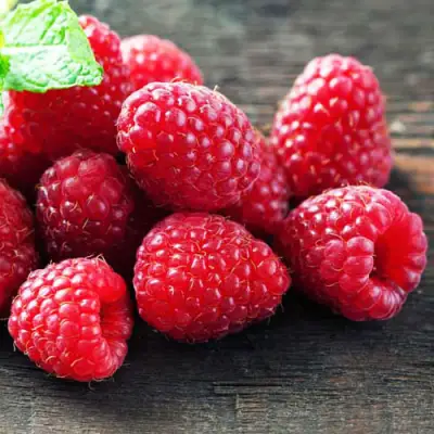 Малина ЭРИКА в Лиде