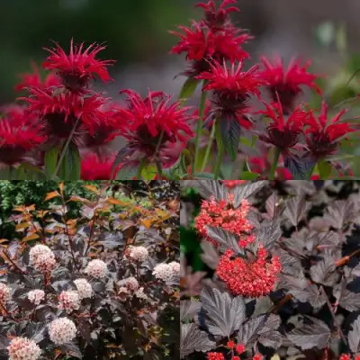 Комплект ОГНЕННЫЙ МИКС в Лиде