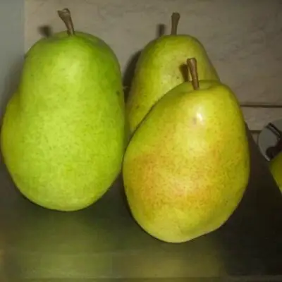 Груша БЕРЕ ЛЮКА в Лиде