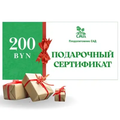 Подарочный сертификат на 200 BYN в Лиде