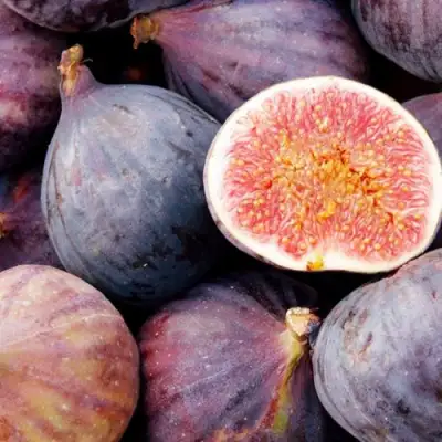 Инжир МУАССОН в Лиде