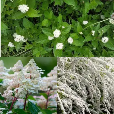 Комплект СКАНДИНАВСКИЙ СТИЛЬ в Лиде