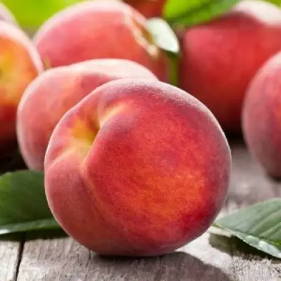 Персик МАЙСКИЙ ЦВЕТОК в Лиде