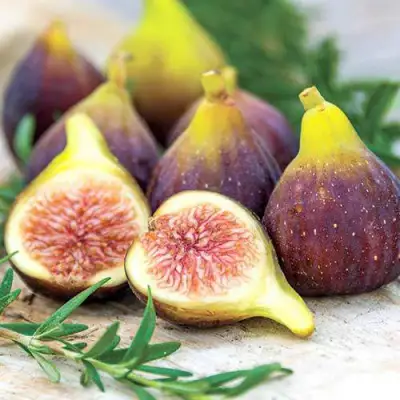 Инжир НИКИТСКИЙ в Лиде