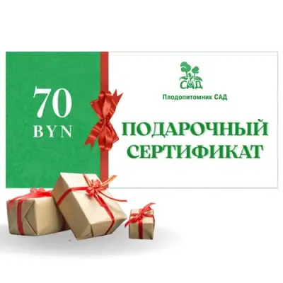 Подарочный сертификат на  70 BYN в Лиде