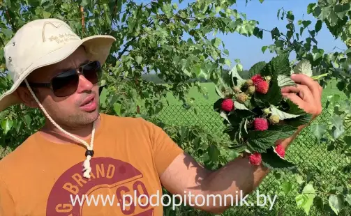 Превью видео