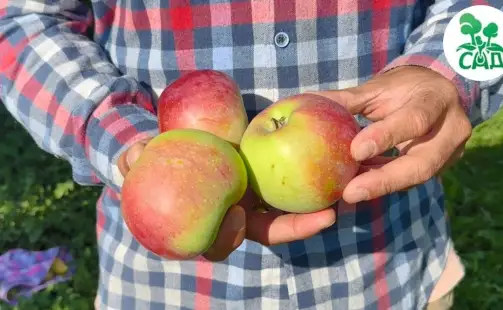 Превью видео