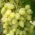 Виноград ЗАРНИЦА в Лиде