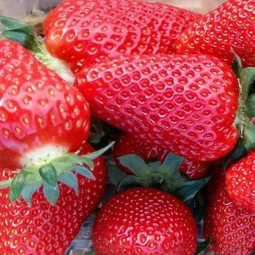 Клубника АМИ  Клубника АМИ в Лиде