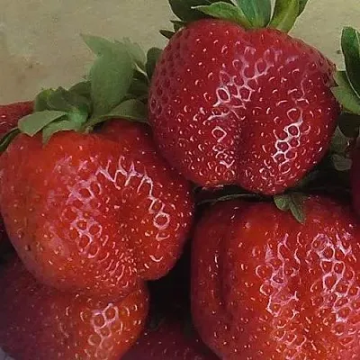 Клубника ДЕСТЕНИ в Лиде