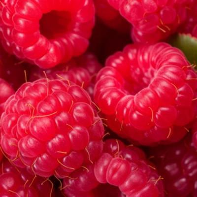 Красная в Лиде