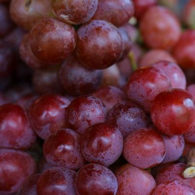 Красный в Лиде