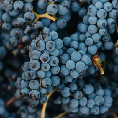 Технический в Лиде