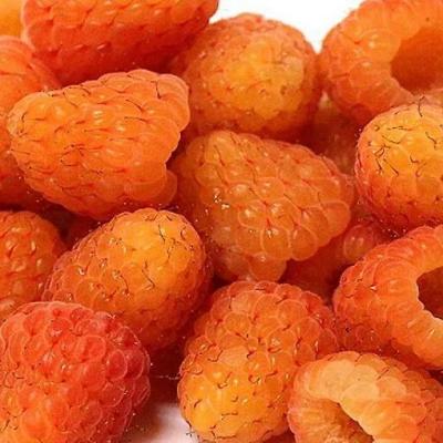 Оранжевая в Лиде