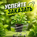 УСПЕЙТЕ ЗАКАЗАТЬ УСПЕЙТЕ ЗАКАЗАТЬ в Лиде